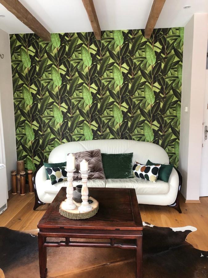 Ferienwohnung Sternstube De Luxe Bad Harzburg Εξωτερικό φωτογραφία